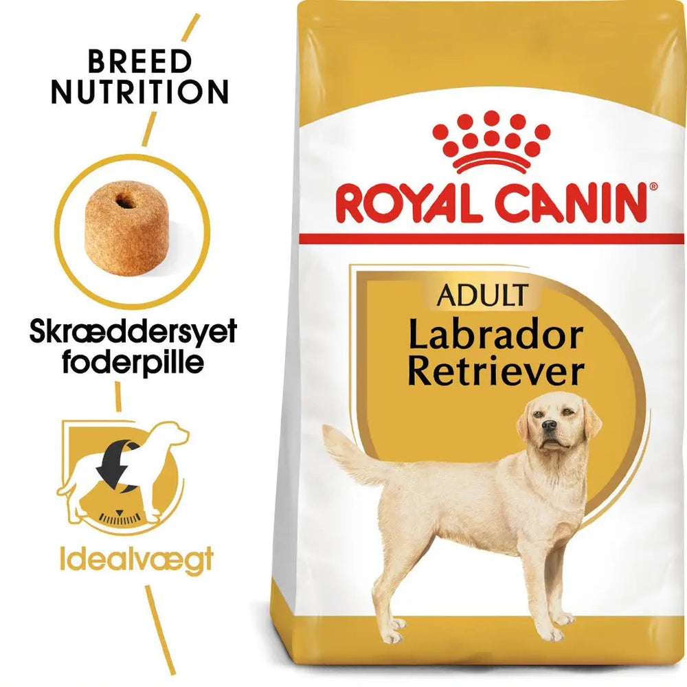 Adult Labrador Retriever 12 kg