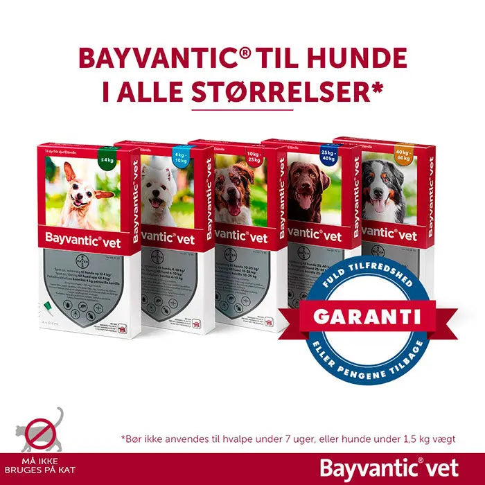 BAYVANTIC VET Flåt- & loppemiddel hund 10-25 kg - 4x2,5 ml