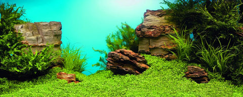 Baggrundsfolie2 motiver 100 x 50 cm