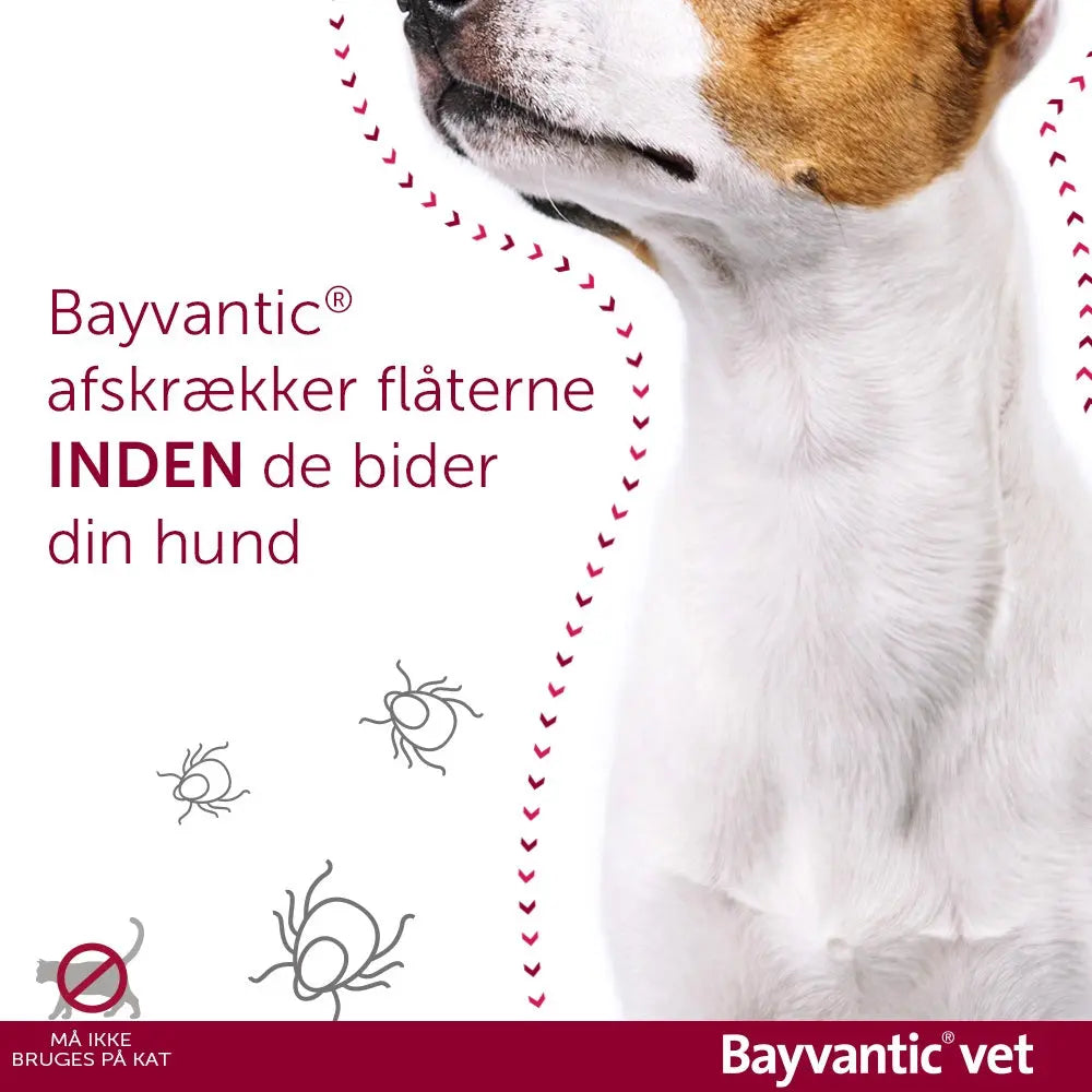 BAYVANTIC VET Flåt- & loppemiddel hund 40-60 kg - 4x6,0 ml