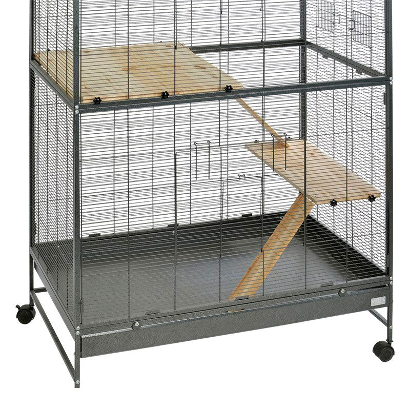 Kit Darwin