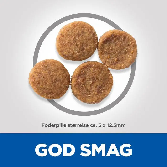 Adult Perfect Weight Medium 2 kg