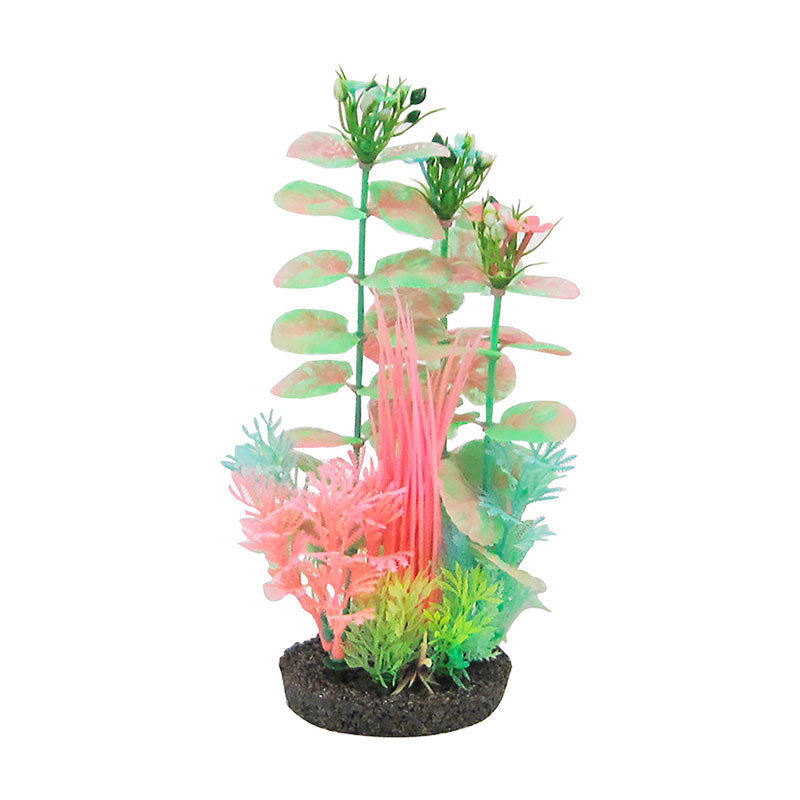 Akvariedek. Plante Selvlysendem 7,87x11,43x24,13 cm