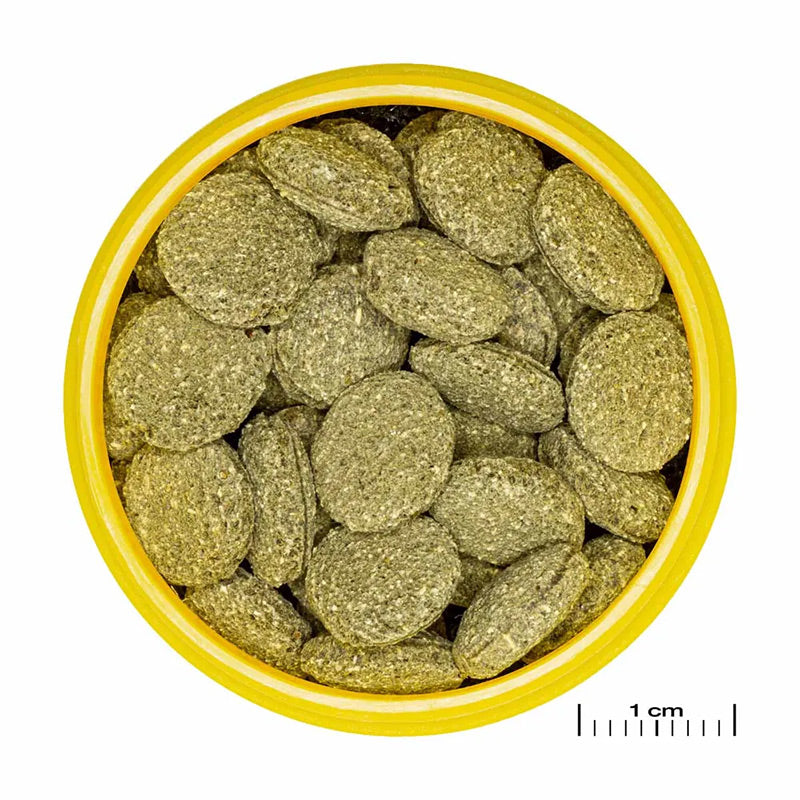 Pronovo Pleco skægfisk tabl. M 1000 ml