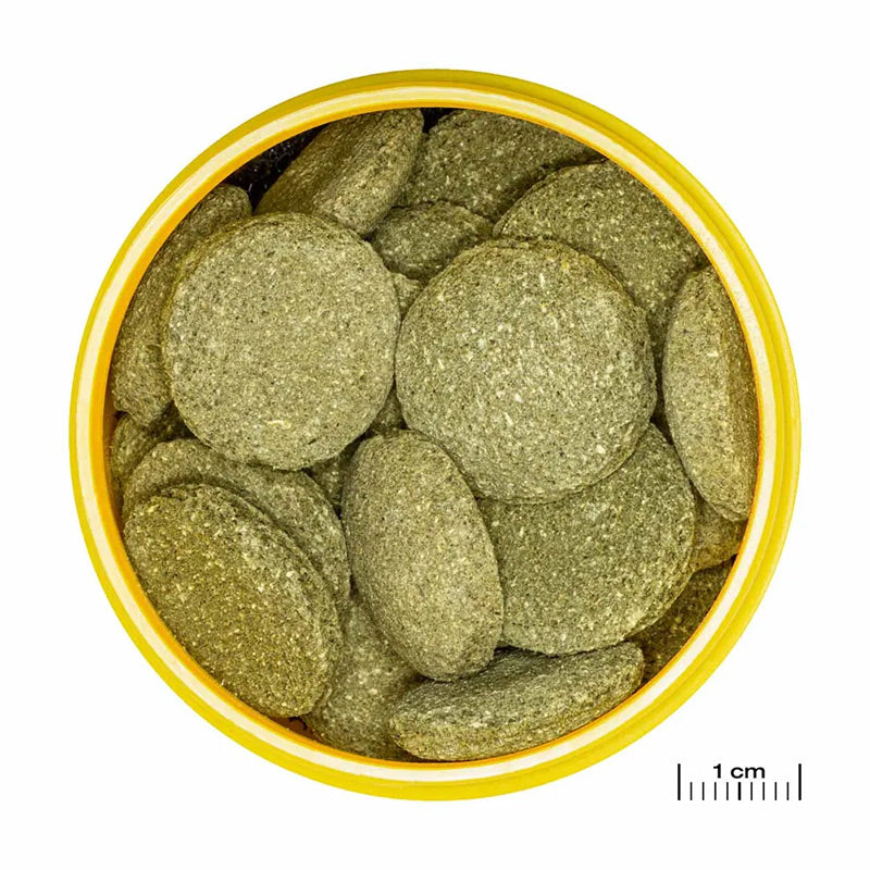 Pronovo Pleco skægfisk tabl. XL 1000 ml