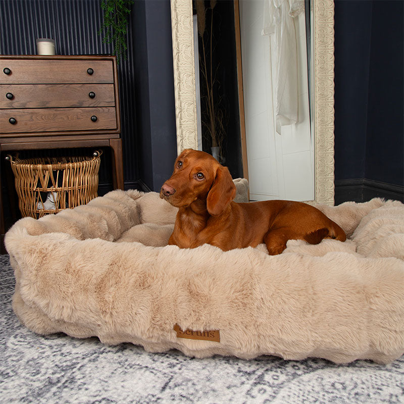 Alpine Box Bed Champagne