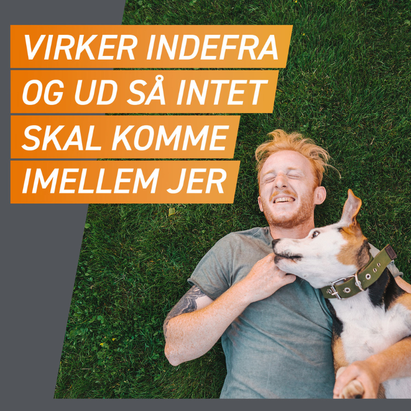 Flåt- & loppemiddel tyggetabletter hund 2-4 kg - 3 stk/pk